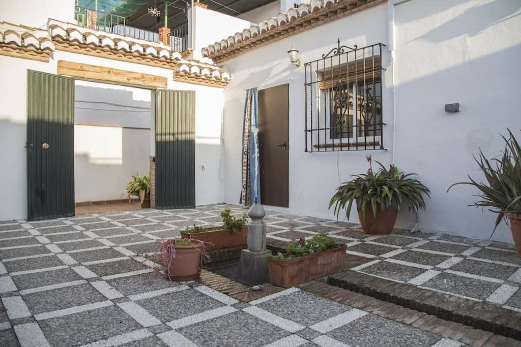 Lolas Cozy Studio Granada Dış mekan fotoğraf