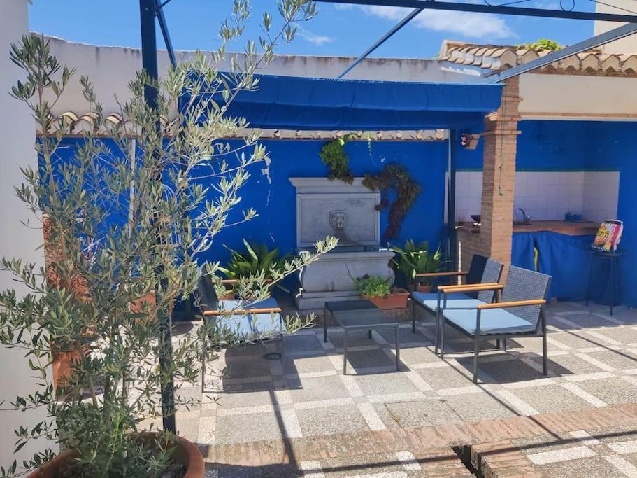 Lolas Cozy Studio Granada Dış mekan fotoğraf